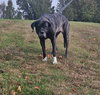 Zoey