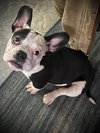 Tootsie