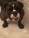 Rudy