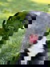 Eep