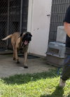 Teddi