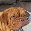 Abby