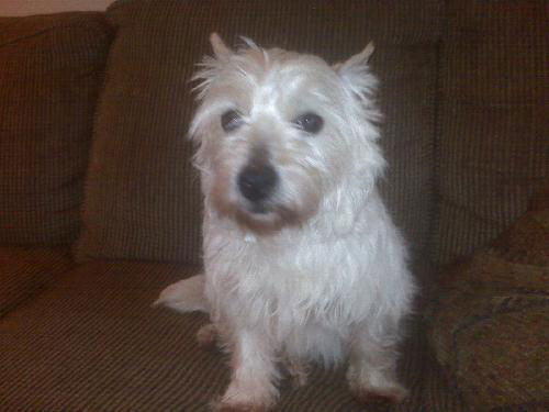 Maggie