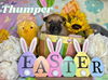 Thumper