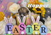Hoppy