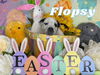 Flopsy