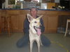 Maggie GSD