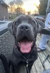Coco *Courtesy Post*
