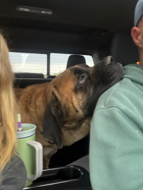 Odie