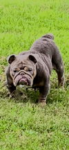 Itsy