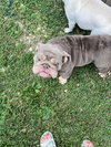 Itsy