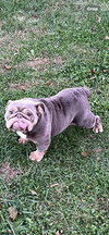 Itsy