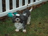 Maggie2