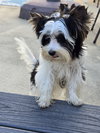 Casper *Courtesy Listing*