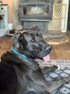 Finley