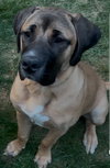 Xzyna (Xena)