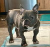 Eeyore