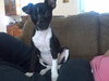Penny