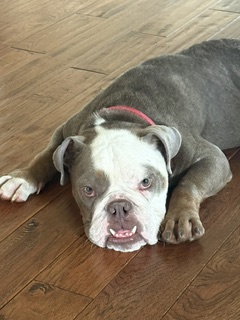 Hopper photo 5