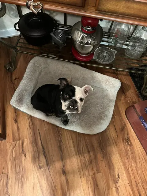 Winnie image 2