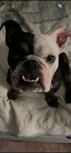 Winnie