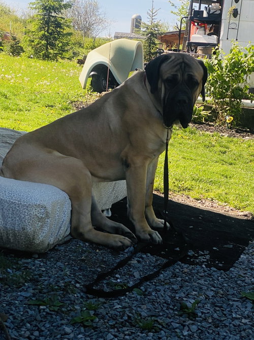Photo 5 of Gus Gus