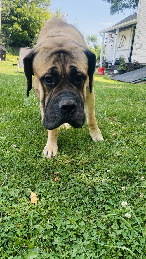 Photo 6 of Gus Gus