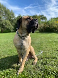 Photo 3 of Gus Gus