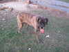 Maggie