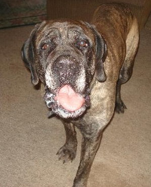 Maggie