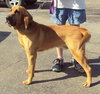 Duke