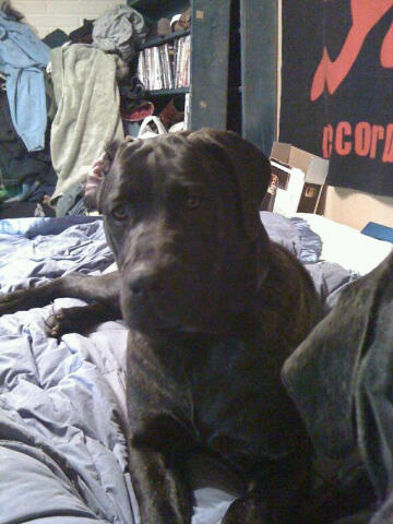 Ryley