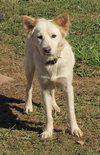 Trudy
