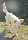Trudy