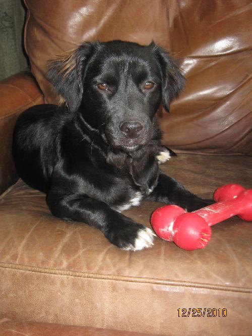 Suzi