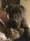 Juno