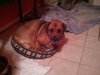 Charlie