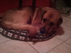 Charlie