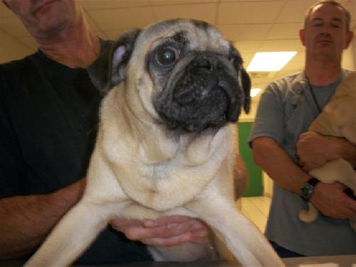 Ethel