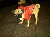 Ethel