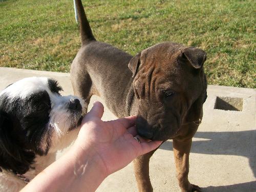 Wrinkles