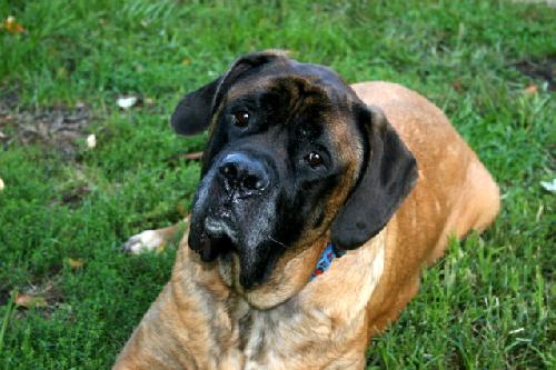 Max