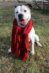Betty Boop (loves children!)
