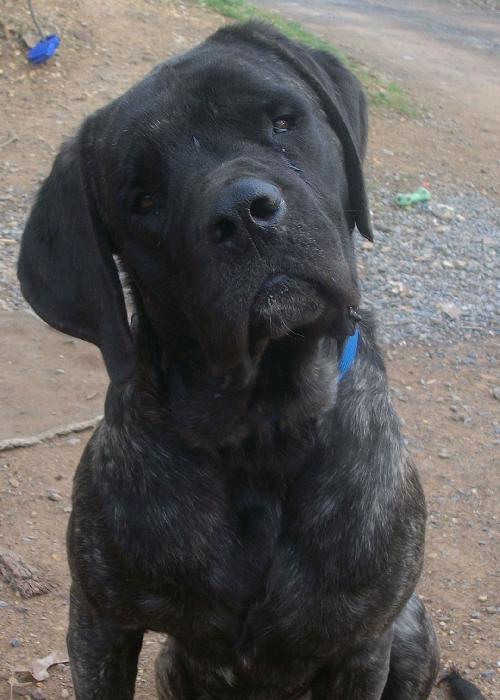 Spencer