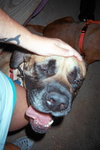 Lexy