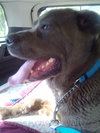 Sally