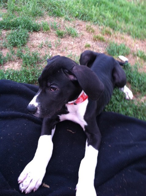 Ethel