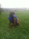 Tiny Tim