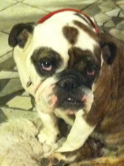 Lexy