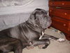 Bubba